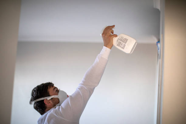 Best Post-Flood Mold Remediation in Laurel Bay, SC