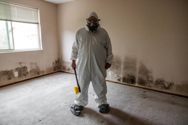 Best Industrial Mold Remediation in Laurel Bay, SC